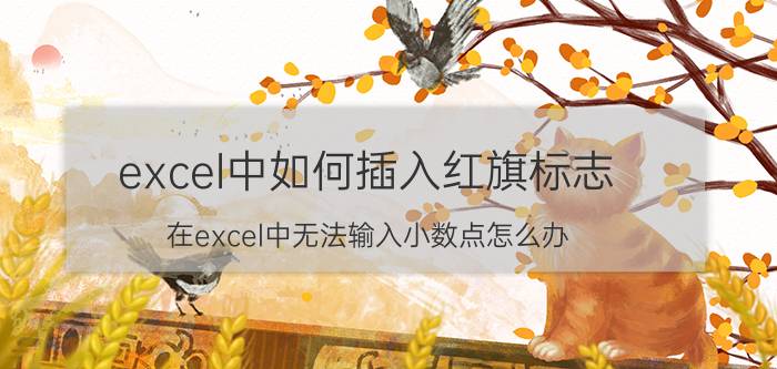 excel中如何插入红旗标志 在excel中无法输入小数点怎么办？